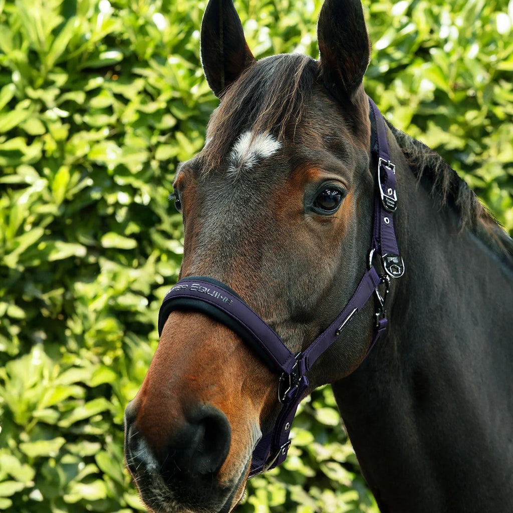 Premier Equine Duco Padded Head Collar with Lead Rope - Grape