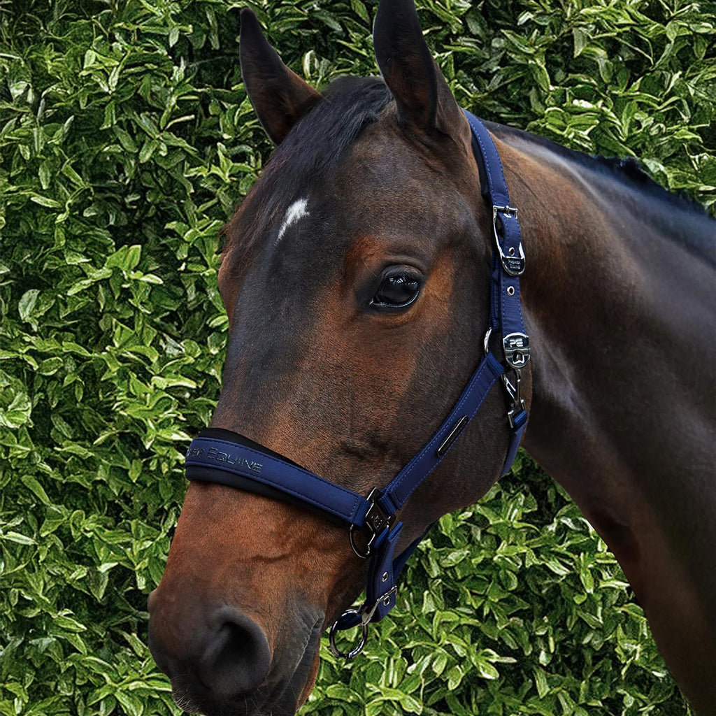 Premier Equine Duco Padded Head Collar With Lead Rope - Navy