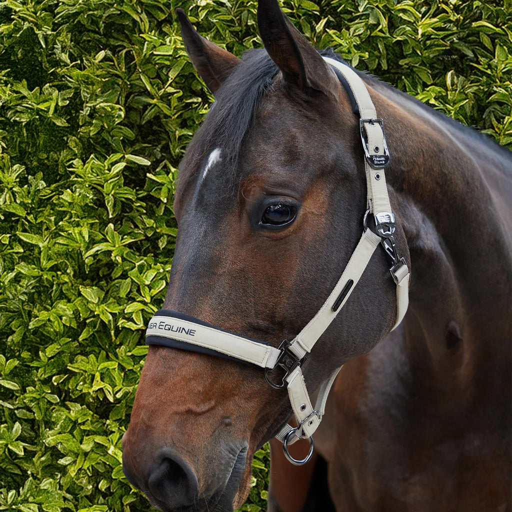 Premier Equine Duco Padded Head Collar with Lead Rope - Taupe