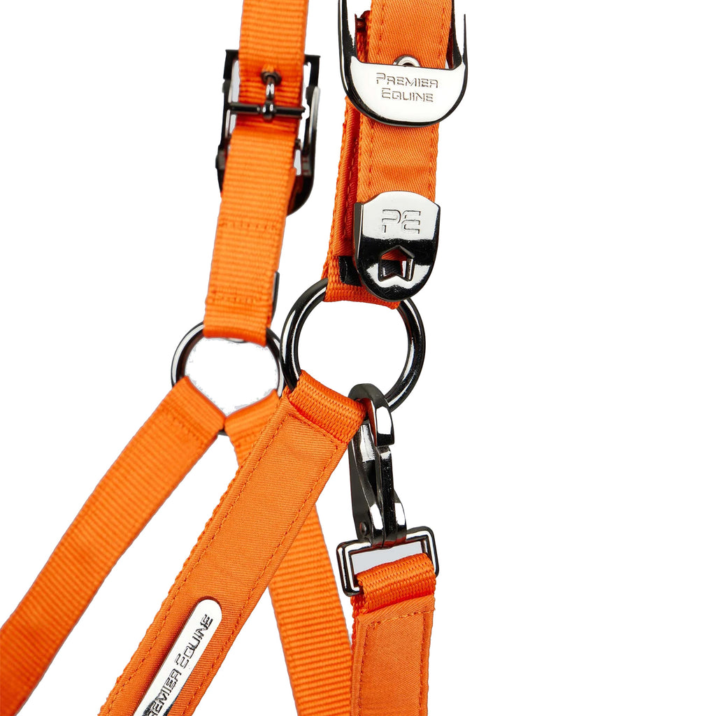 Premier Equine Duco Padded Head Collar with Lead Rope - Orange