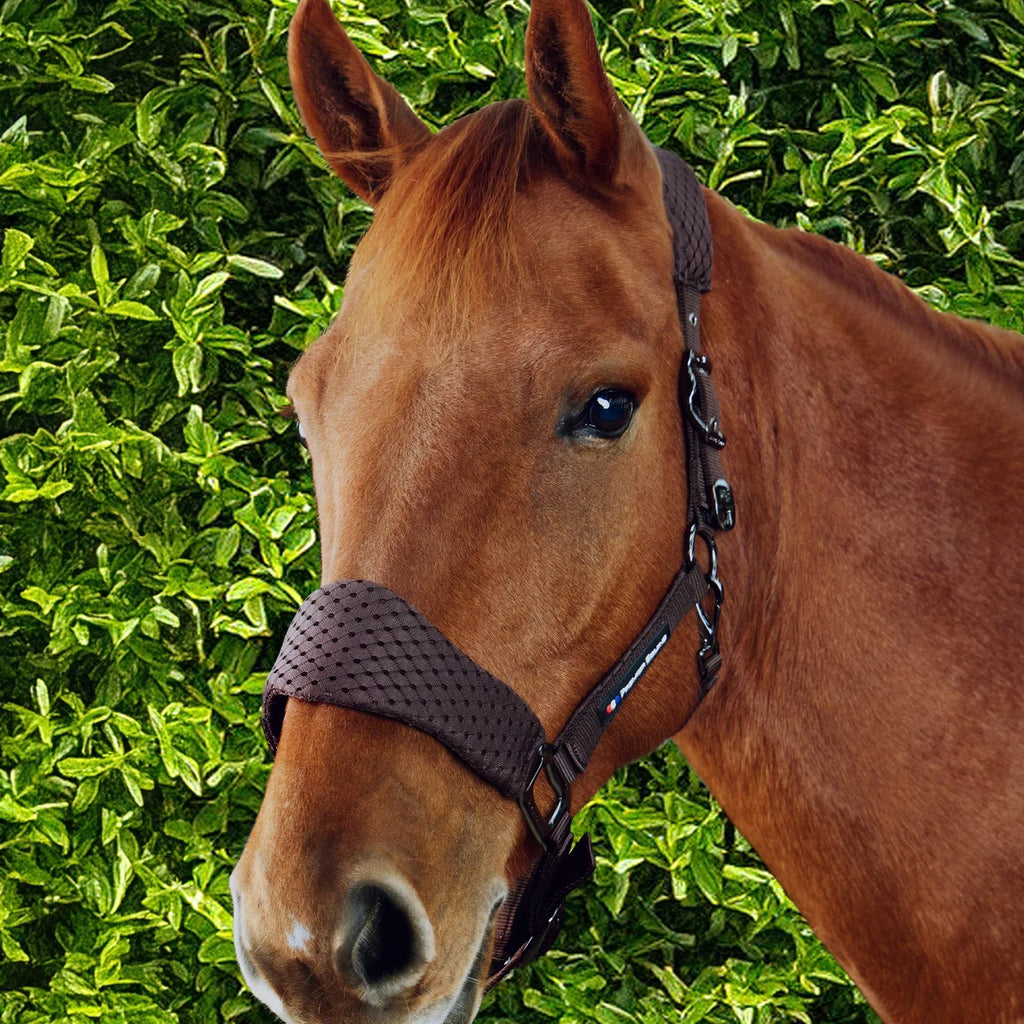 Premier Equine Necto 3D Mesh Head Collar with Lead Rope - Brown