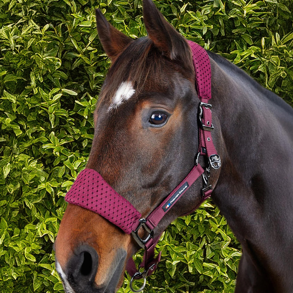 Premier Equine Necto 3D Mesh Head Collar with Lead Rope - Burgundy