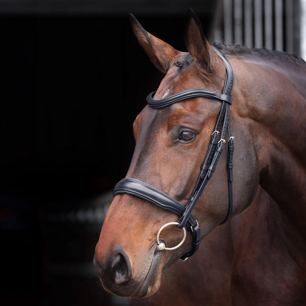 Velociti Lusso Elite Padded Cavesson Bridle - Black