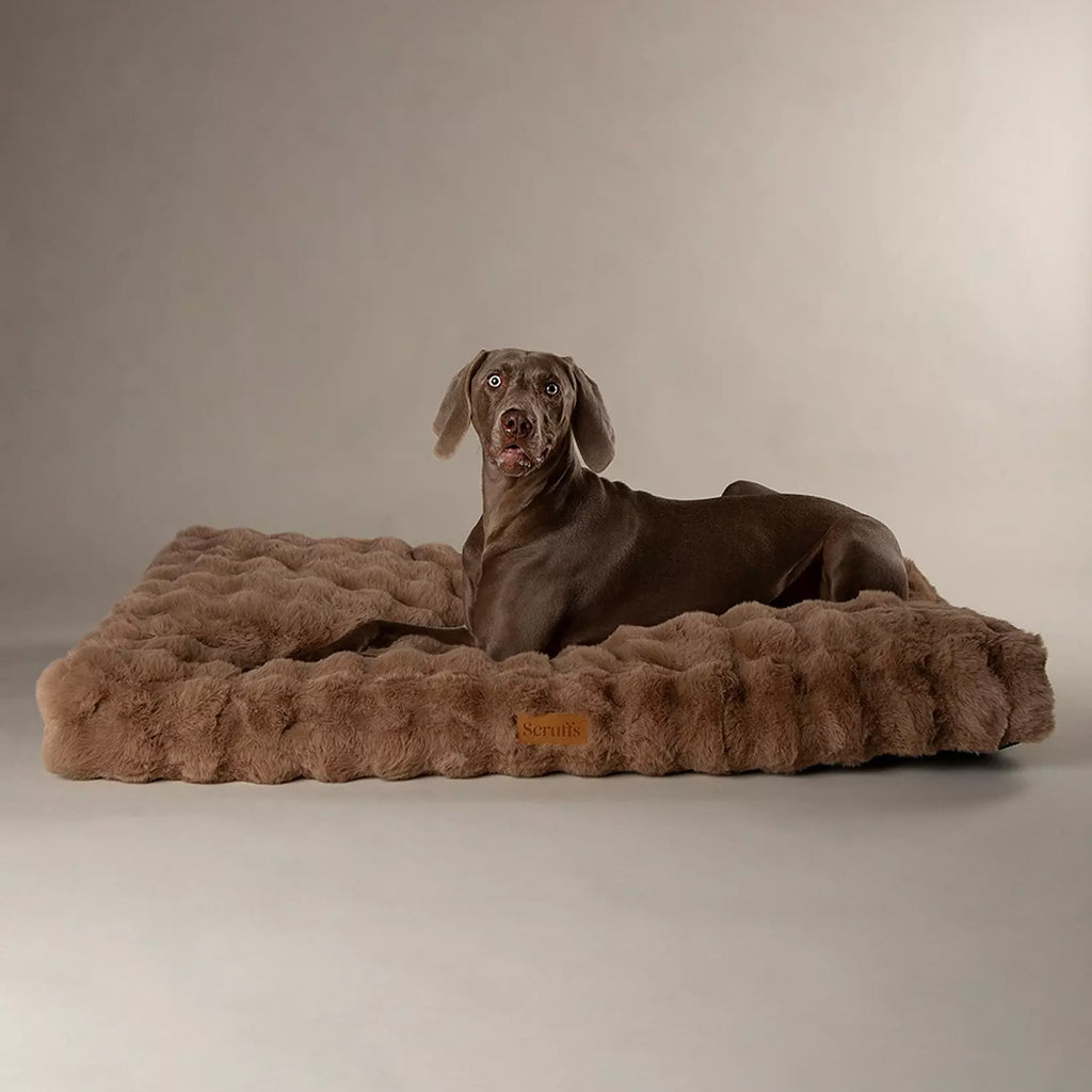 Scruffs Alpine Mattress - Taupe