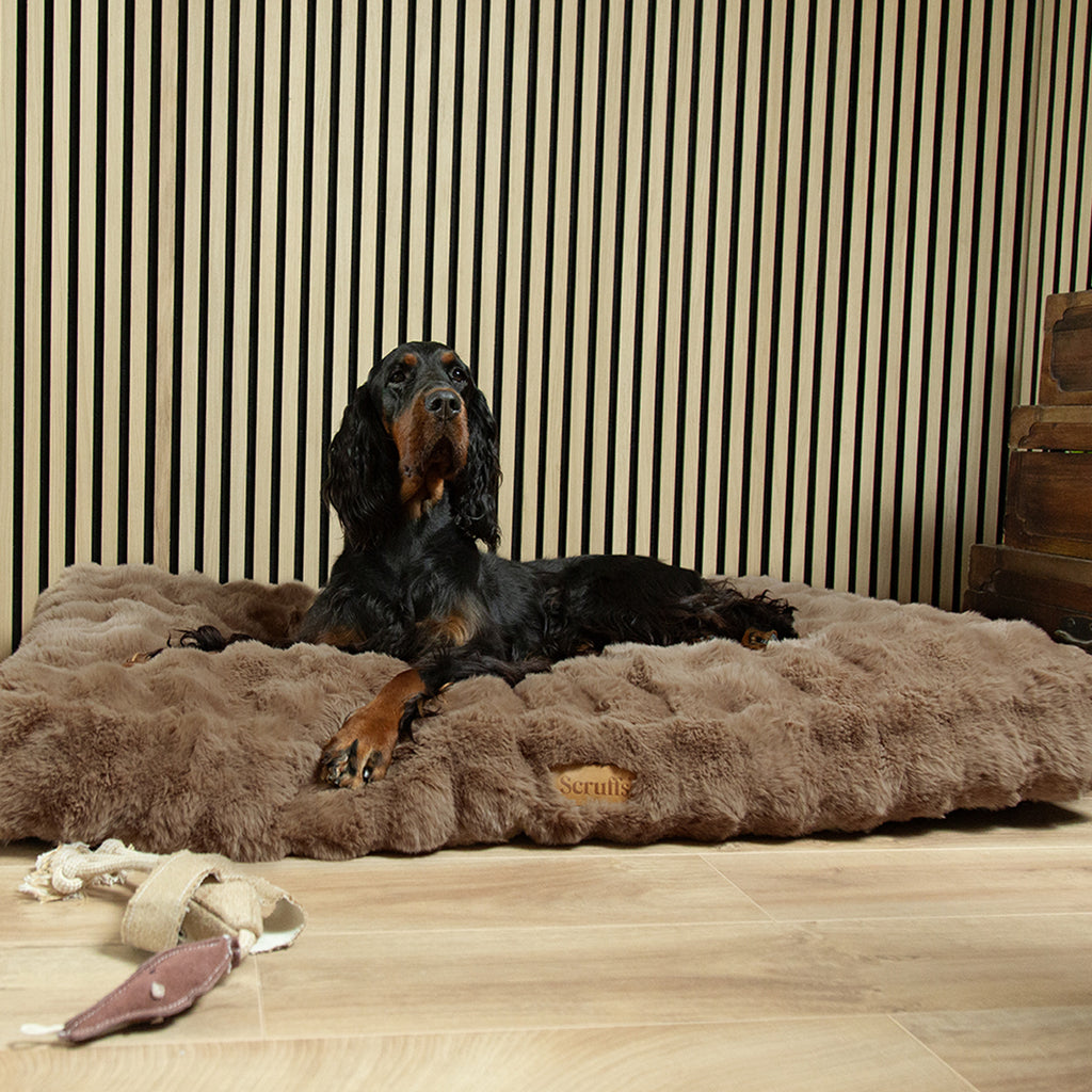 Scruffs Alpine Mattress - Taupe