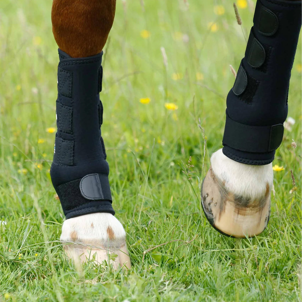 Premier Equine Turnout Boots