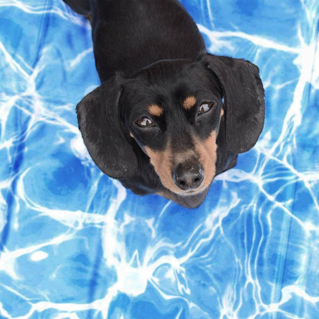 All For Paws Chill Out Always Cool Dog Mat - Medium