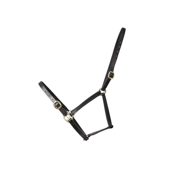 Hy Leather Foal Head Collar - Black
