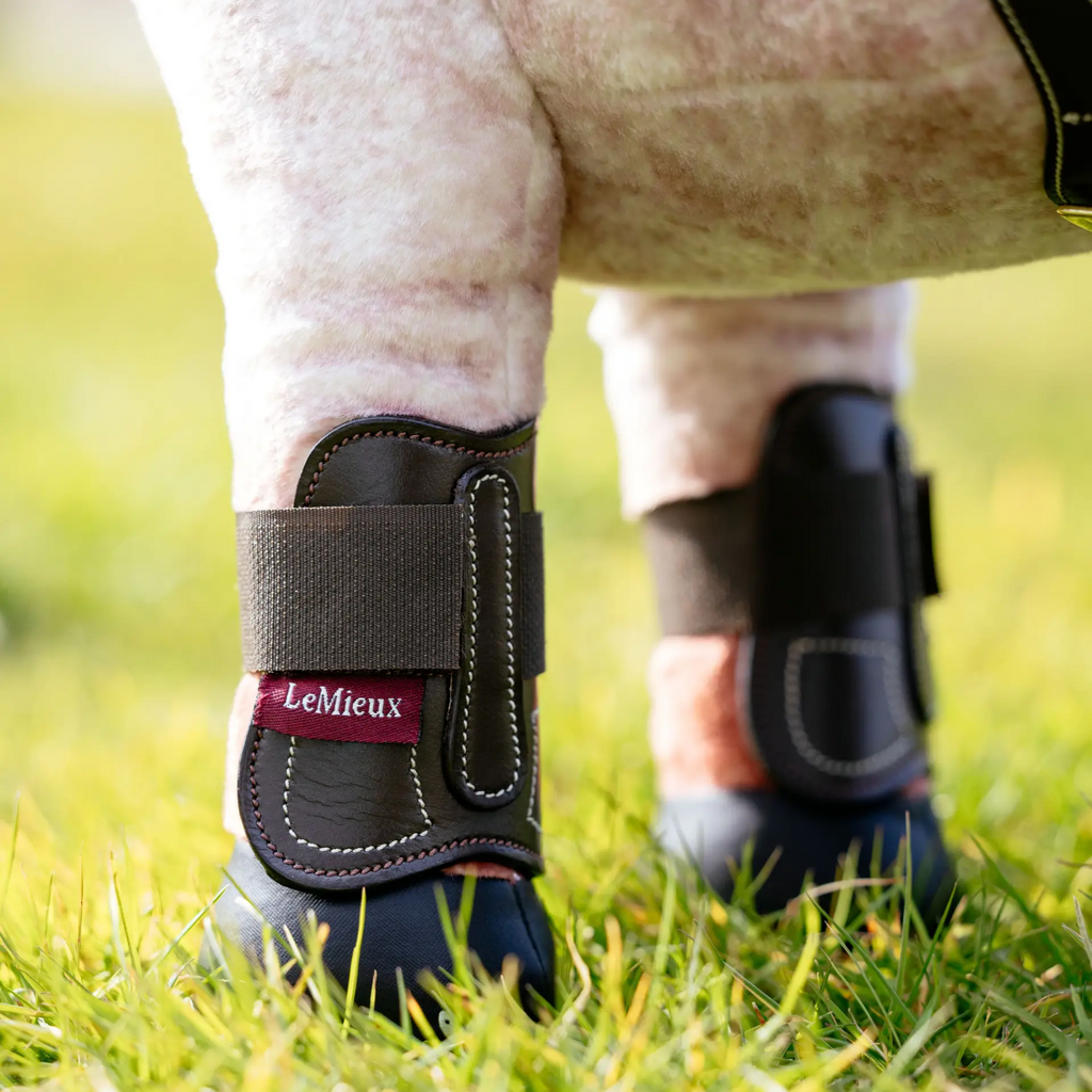 LeMieux Toy Pony Capella Boots - Brown