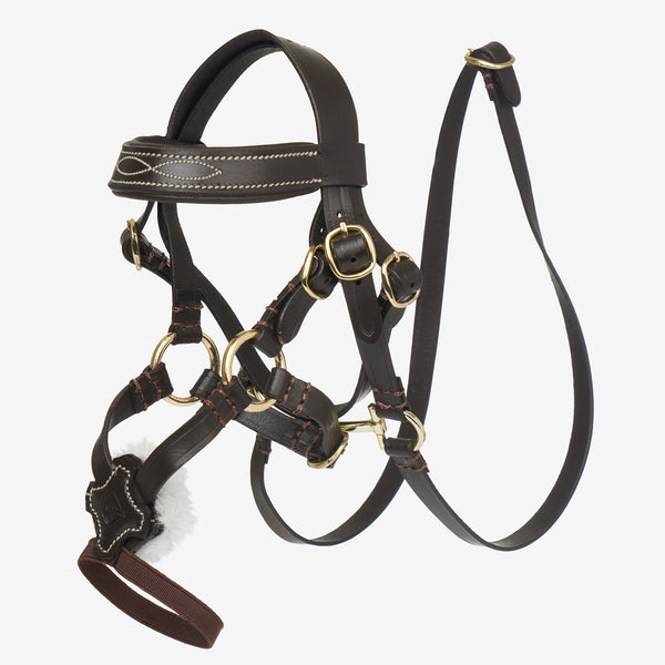 LeMieux Toy Pony Grackle Bridle - Brown