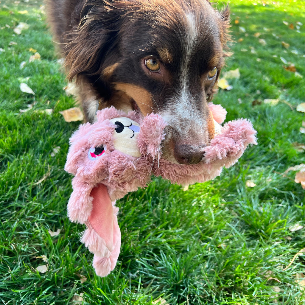 KONG Scrumplez - Bunny