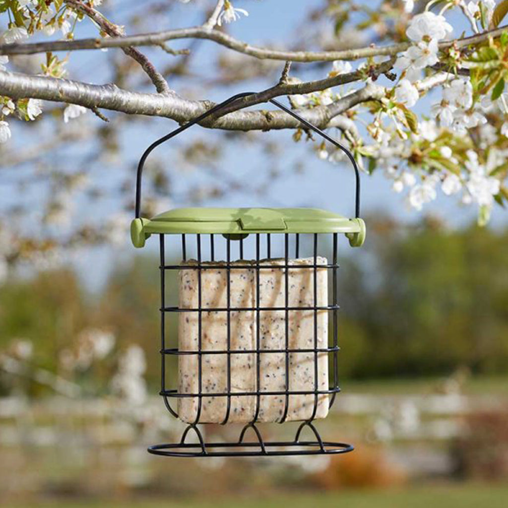 Smart Garden Products Suet Cake Feeder