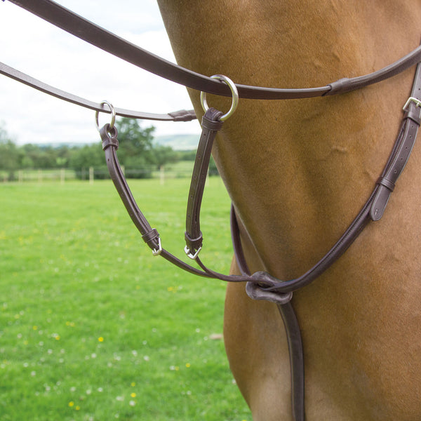 Bridleway Lavello Running Martingale - Havana