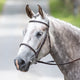 Bridleway Melton Raised Cavesson Bridle - Havana