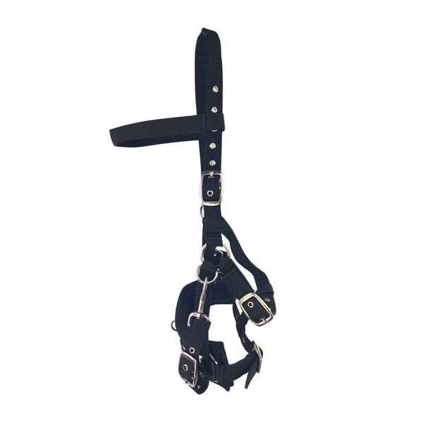 Cameo Professional Lunge Cavesson - Black