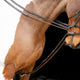Velociti Gara Elasticated Draw Reins - Havana