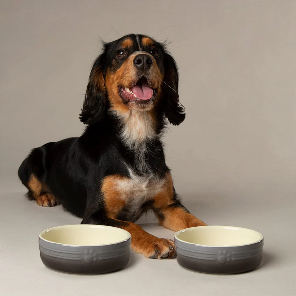 Scruffs Ombre Food Bowl - Grey