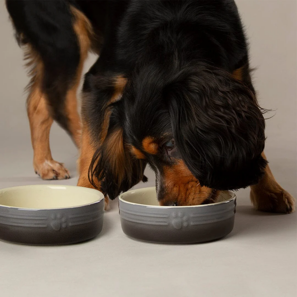 Scruffs Ombre Food Bowl - Grey