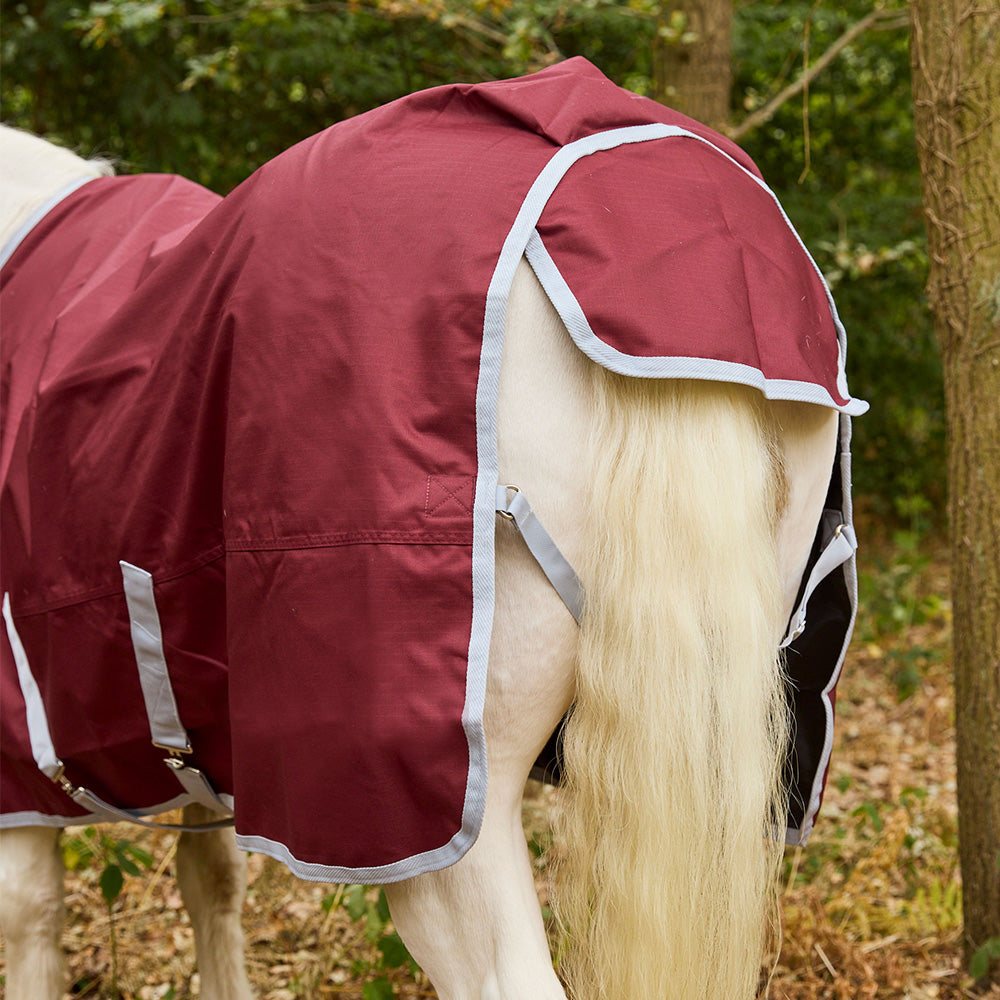 R&R Bramham 50g Standard Neck Turnout Rug
