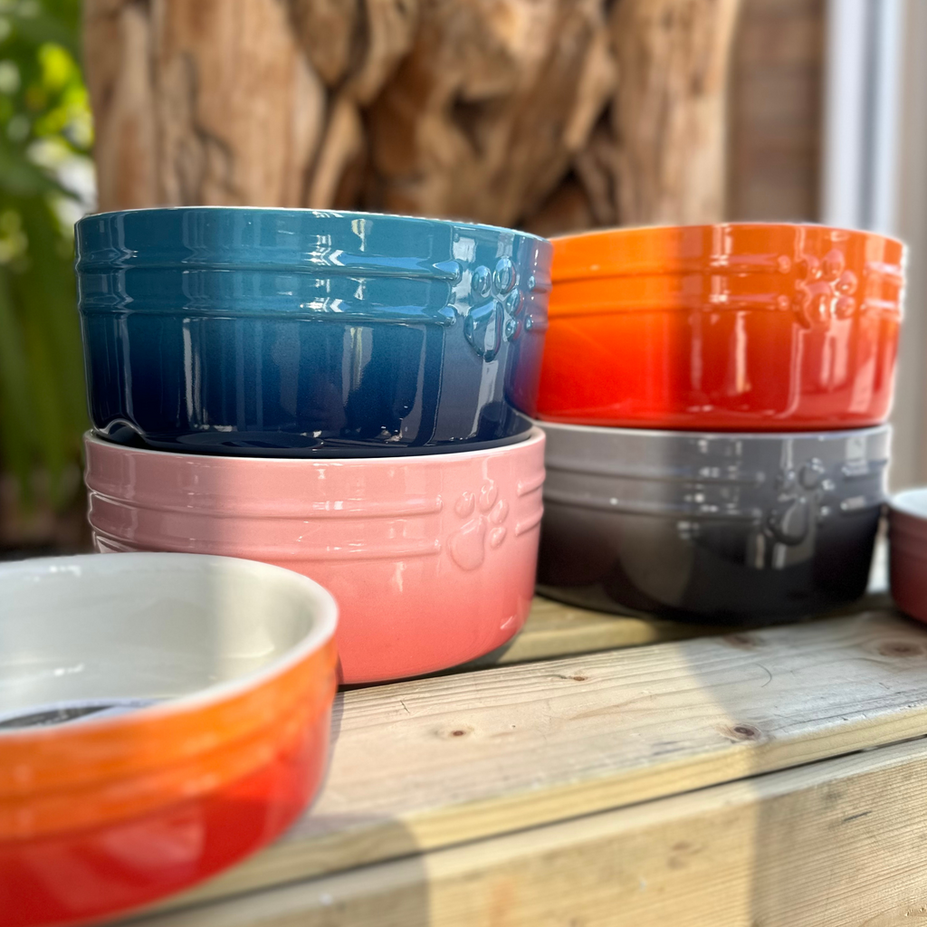 Scruffs Ombre Food Bowl - Blue