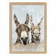 Camelot Donkey Family