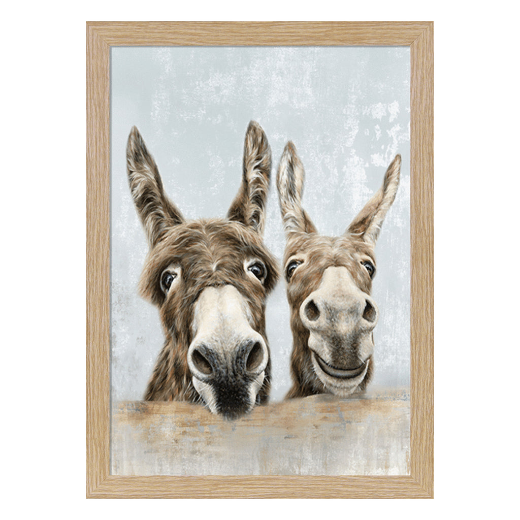 Camelot Donkey Family