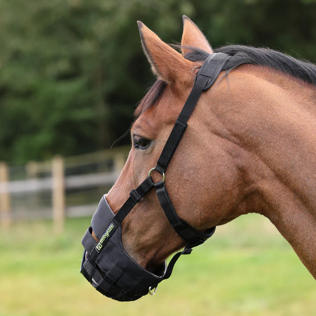 FreeGraze AirFlow Grazing Muzzle - Black