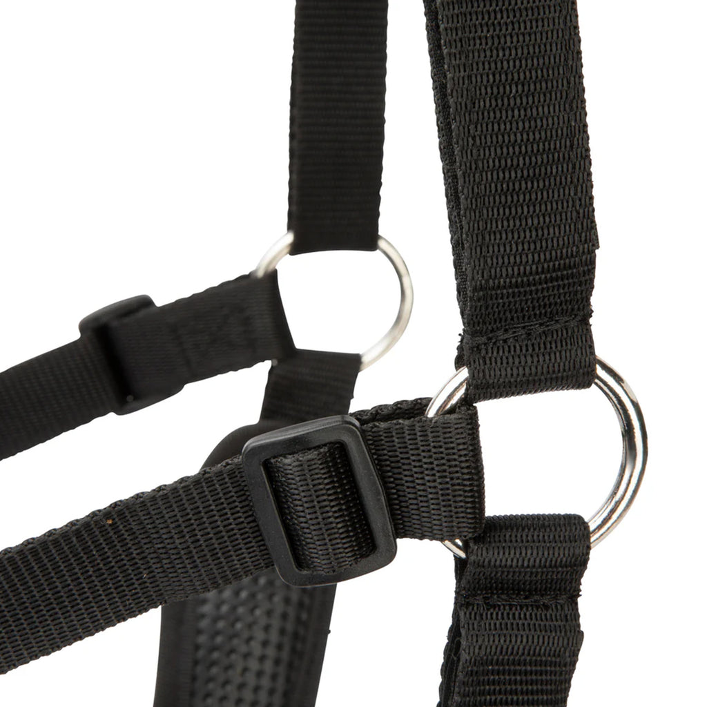 FreeGraze AirFlow Grazing Muzzle - Black