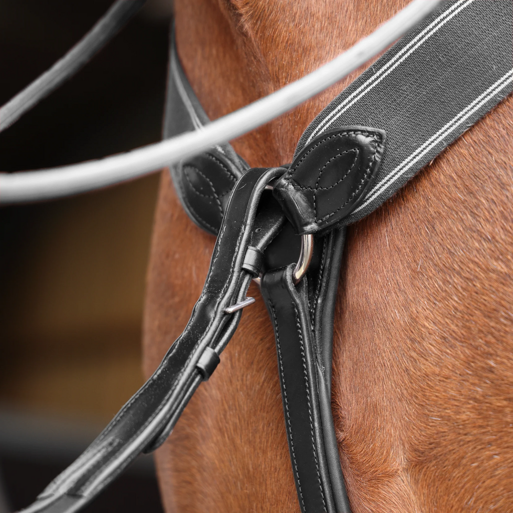 Velociti Lusso Three Point Elastic Breastplate - Black