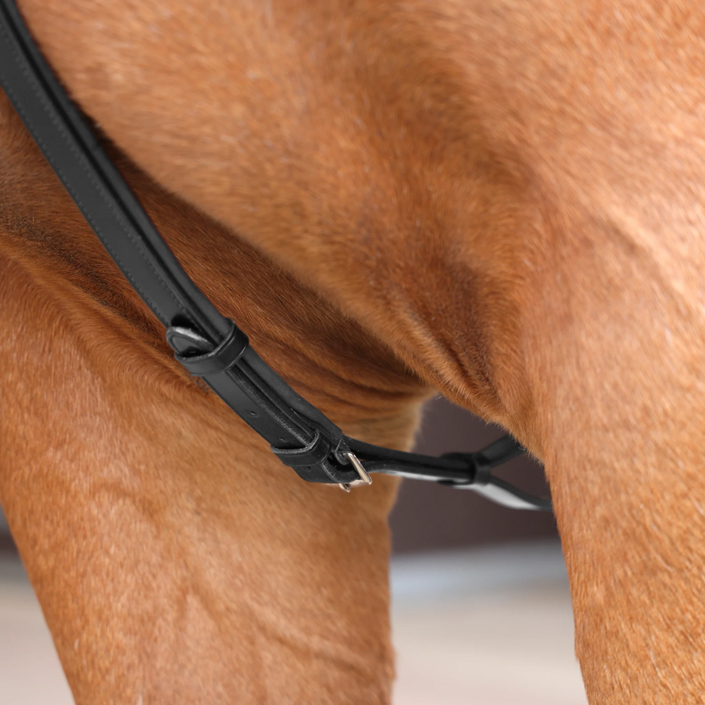 Velociti Lusso Three Point Elastic Breastplate - Black