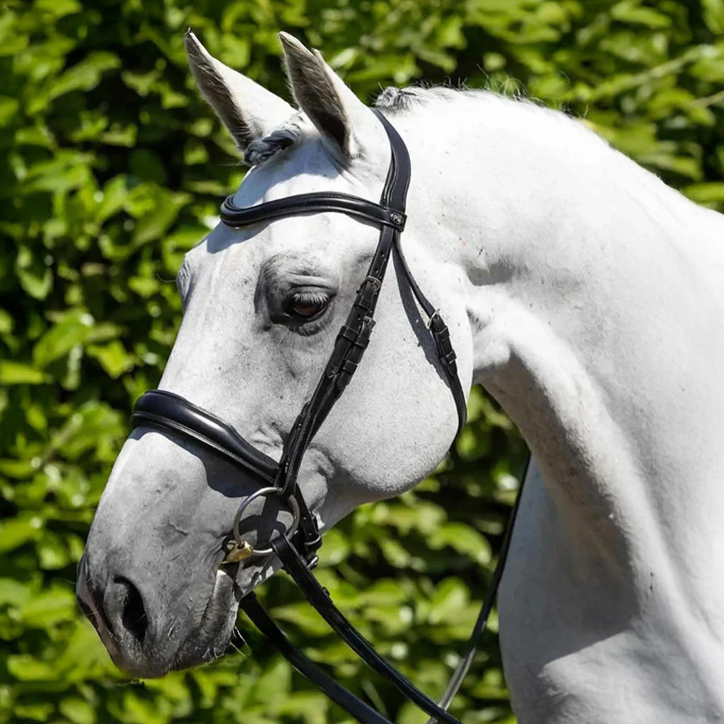 Premier Equine Verdura Anatomic Snaffle Bridle - Black