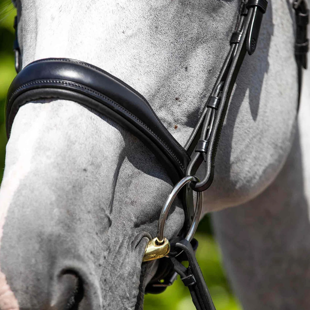 Premier Equine Verdura Anatomic Snaffle Bridle - Black