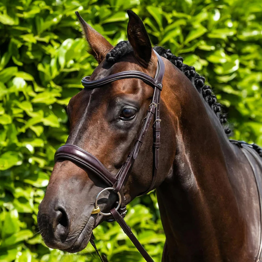 Premier Equine Verdura Anatomic Snaffle Bridle - Brown