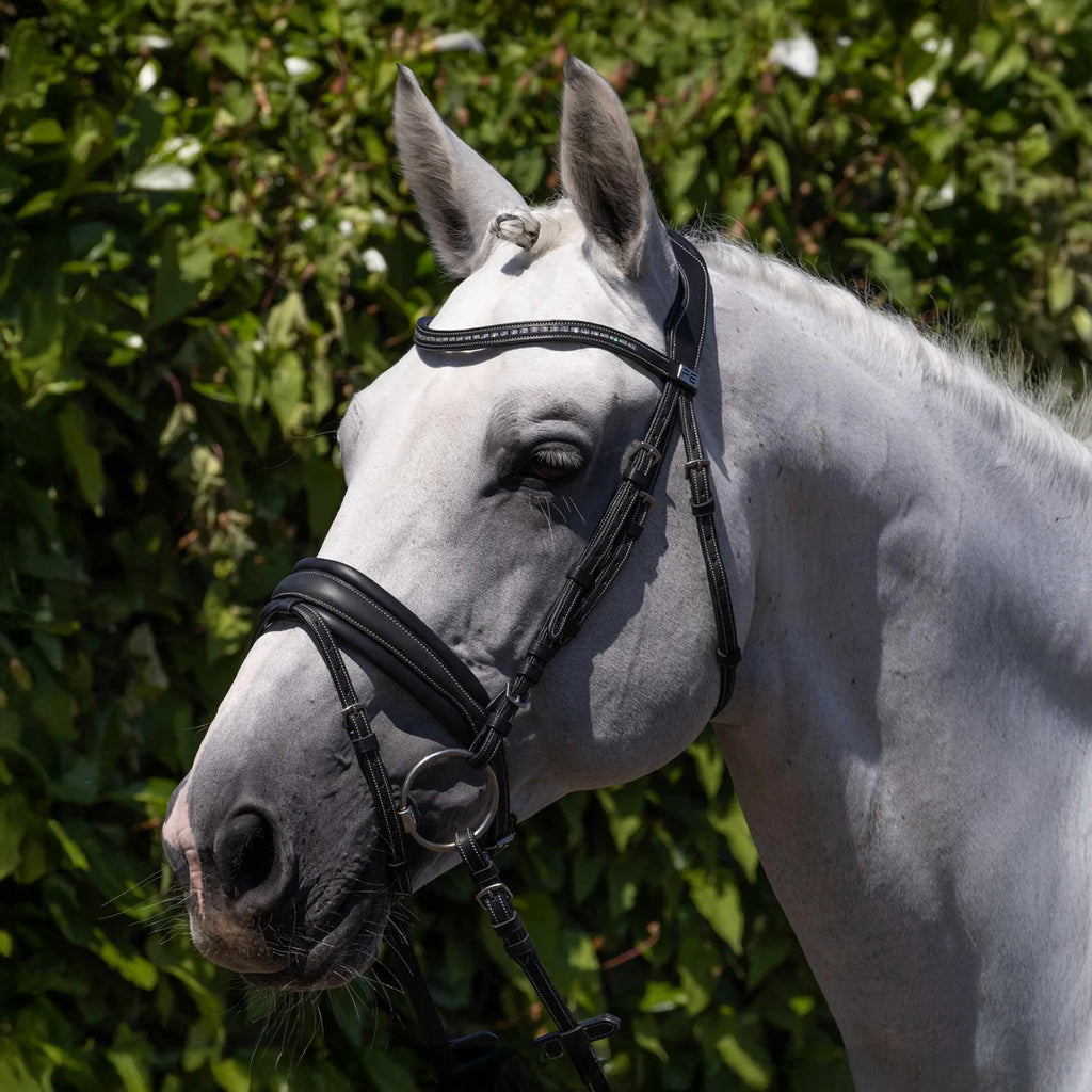 Premier Equine Veneto Anatomical Snaffle Bridle - Black