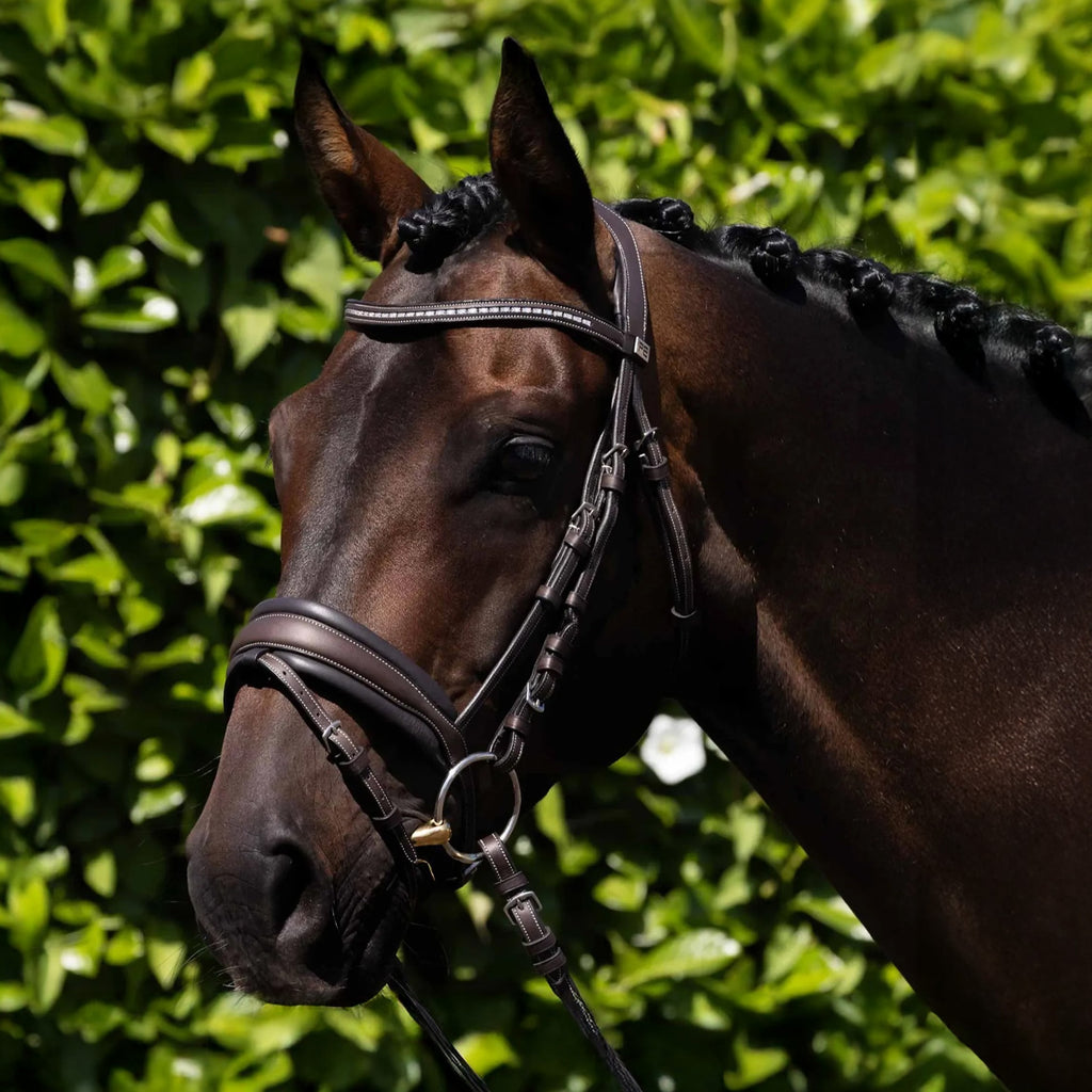Premier Equine Veneto Anatomical Snaffle Bridle - Brown