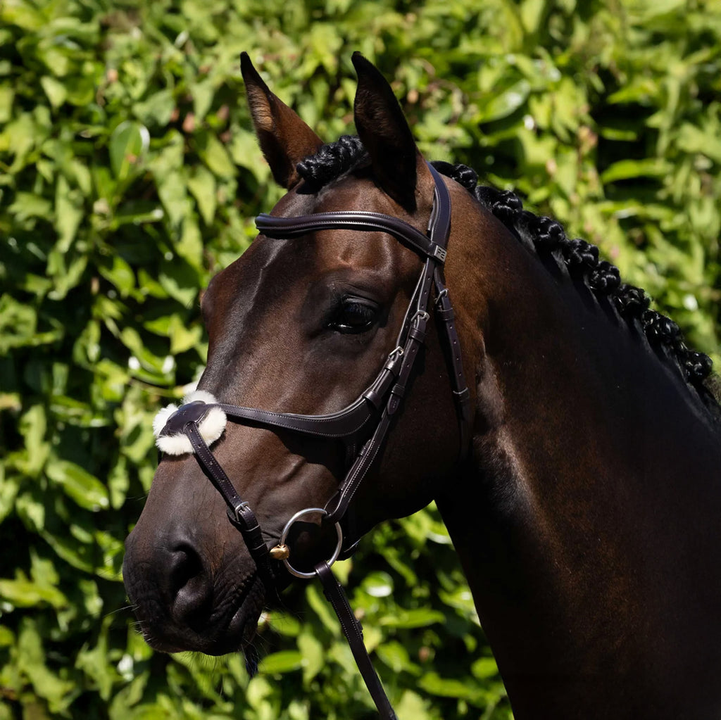 Premier Equine Glorioso Grackle Bridle - Brown