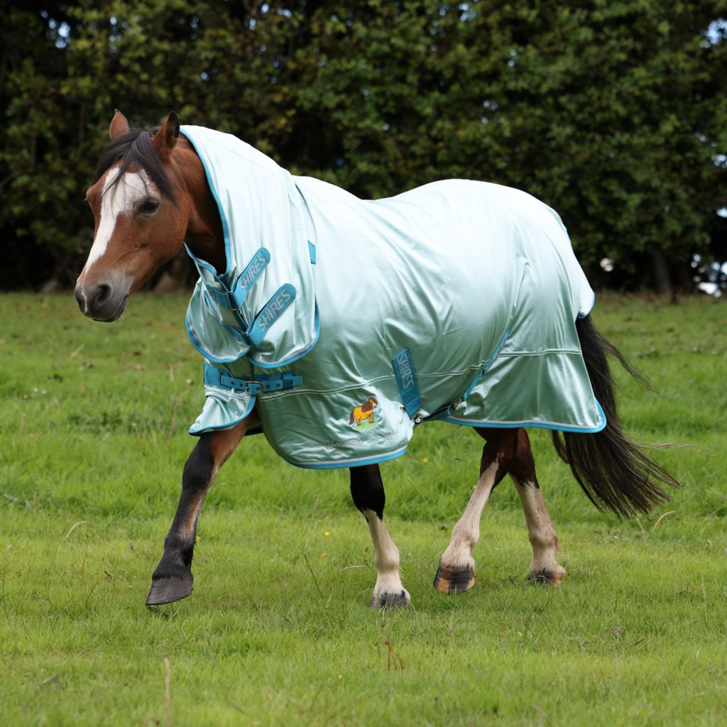 Winnie and Me Fly Combo Rug - Blue