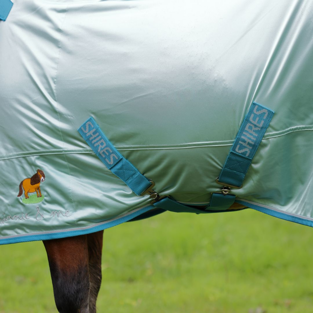 Winnie and Me Fly Combo Rug - Blue