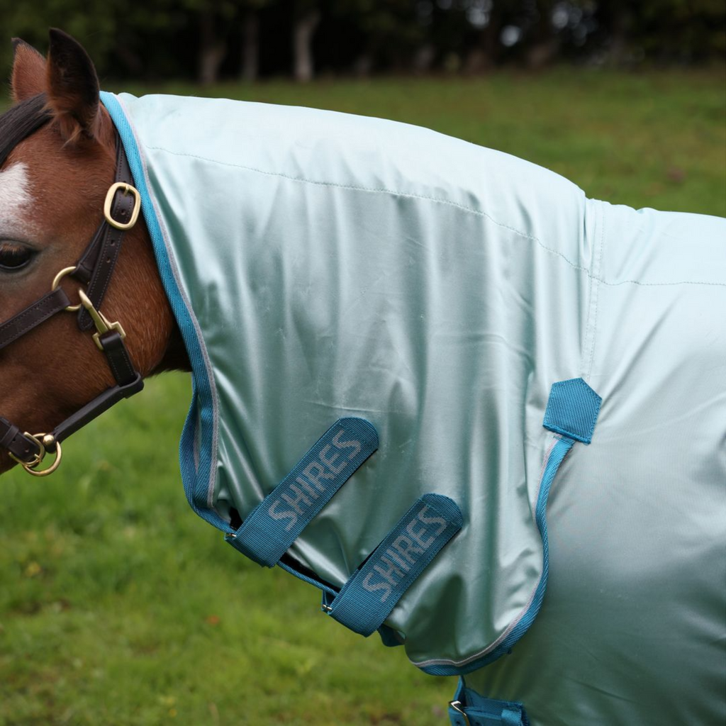 Winnie and Me Fly Combo Rug - Blue