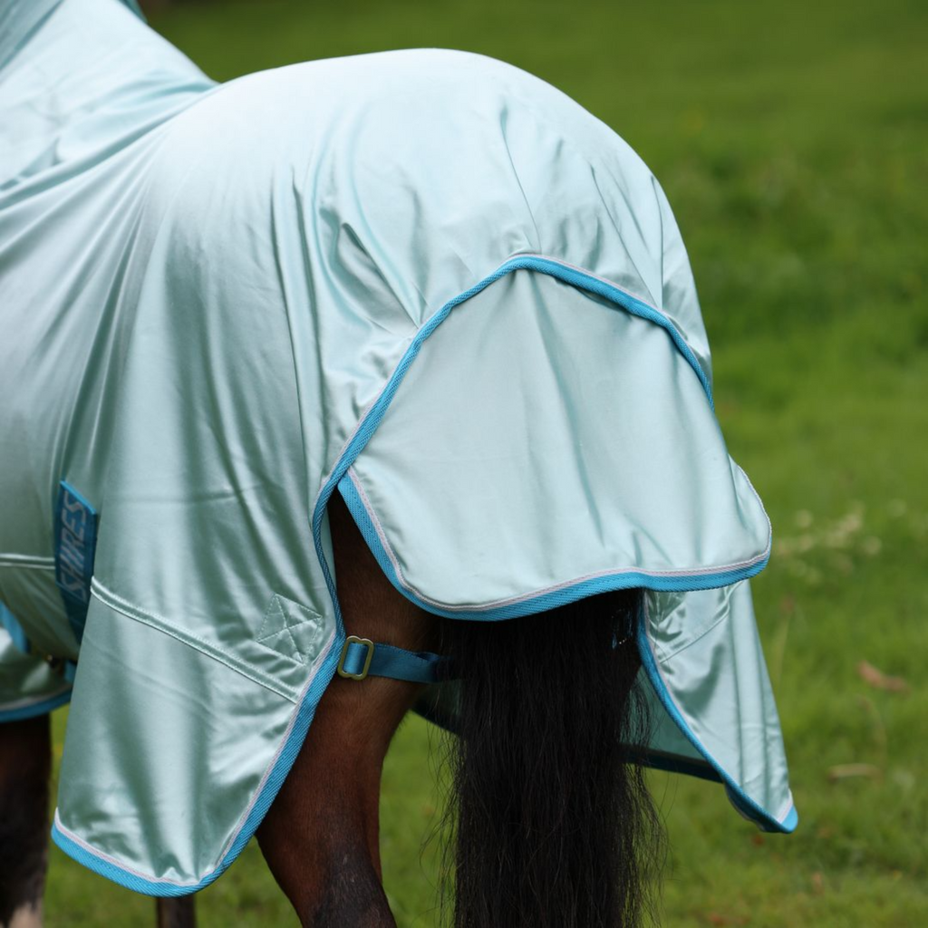 Winnie and Me Fly Combo Rug - Blue