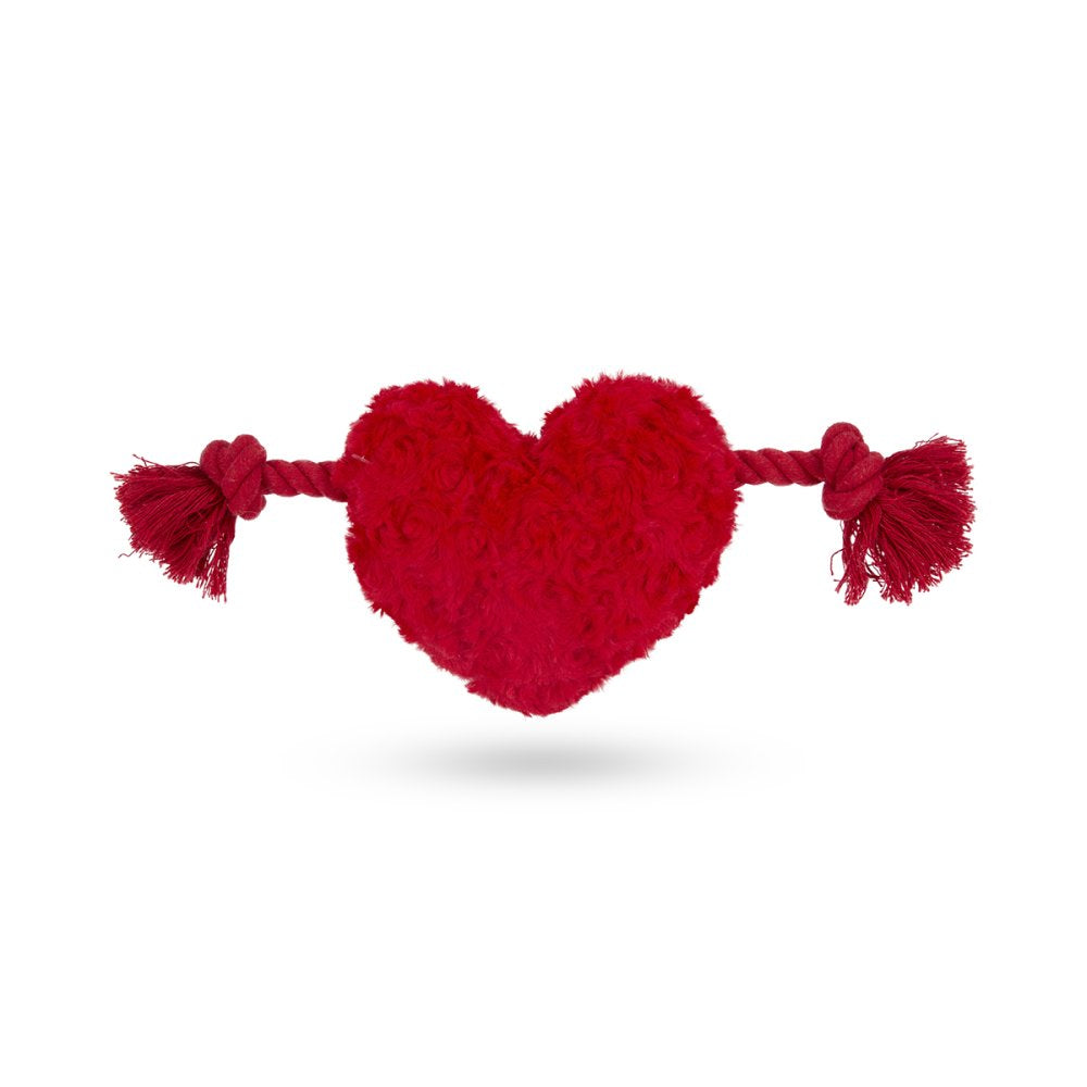 Petface Buddies Hughie Heart with Rope Plush Toy