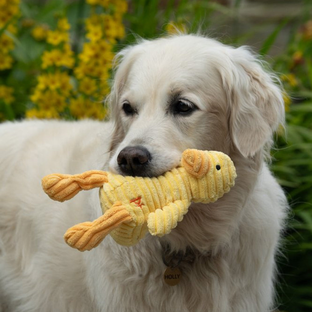 Petface Denny Duckling Plush Toy
