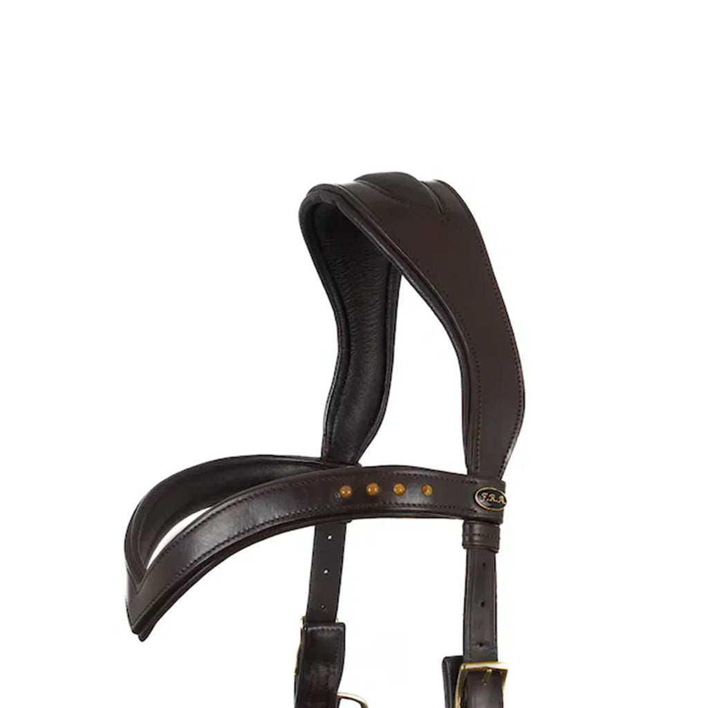 F.R.A Glory System 2 Hackamore Bridle - Brown