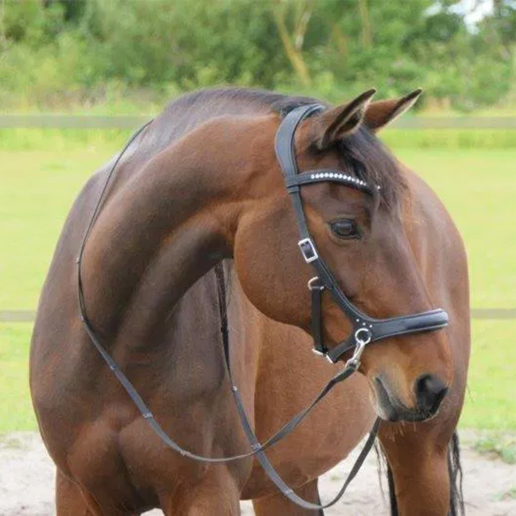 F.R.A Rebecca Sidepull Bridle - Brown