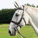 F.R.A Runa Combi Bridle - Havana