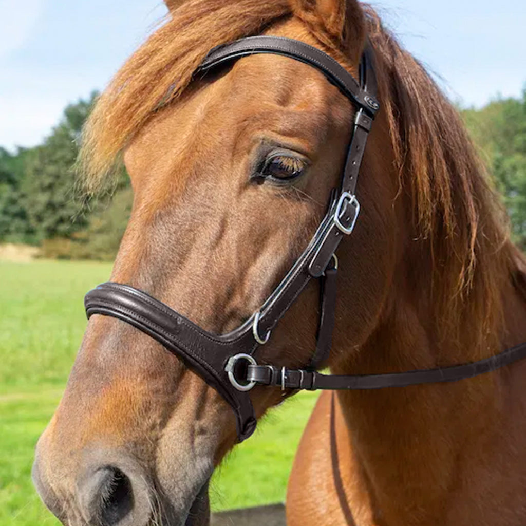 F.R.A Runa Combi Bridle - Havana