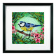 Camelot Bright And Beautiful Birds II - Blue Tit