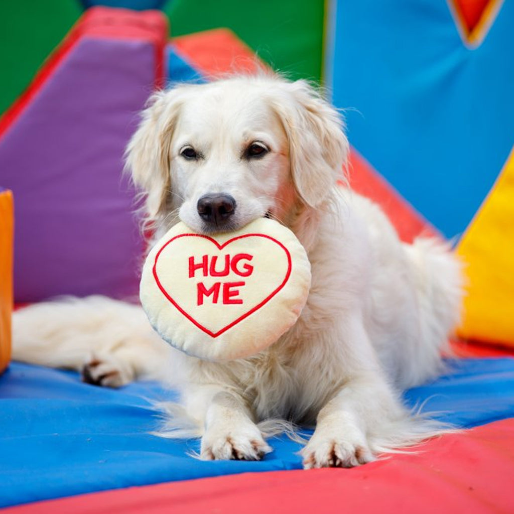 Petface Hug Me Plush Dog Toy