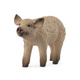 Schleich Mangalica Piglet