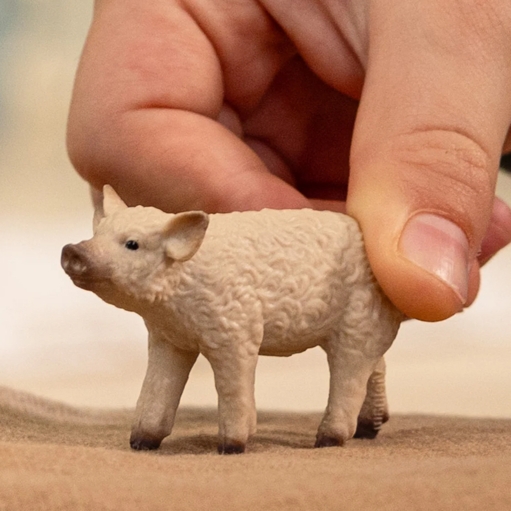 Schleich Mangalica Piglet